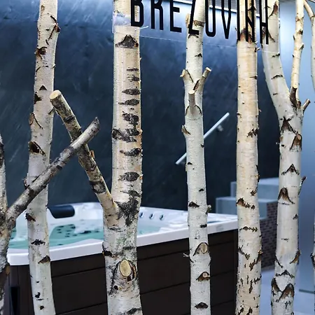 Emily B311 شقة Oravske Vesele