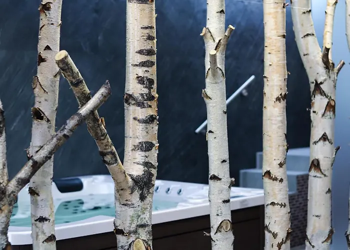 Emily B311 Lejlighed Oravske Vesele